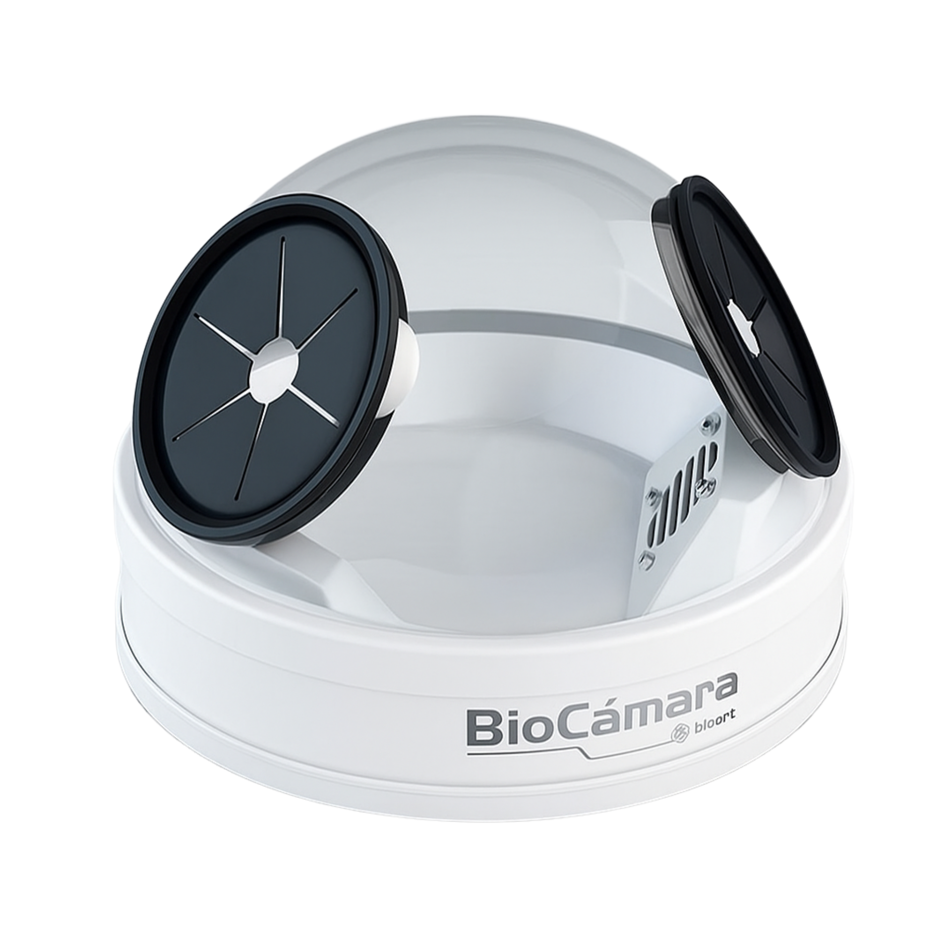 BioCámara BioArt (3)